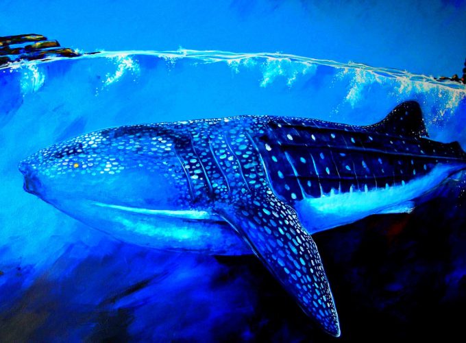 Wallpaper Whale Shark, underwater, art, Animals 9401412442